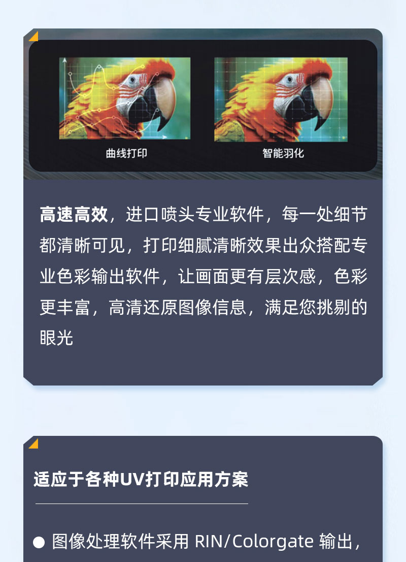 yth206游艇会官网-游艇会0005yth