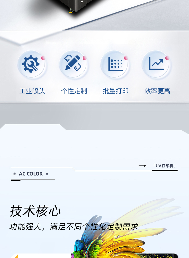 yth206游艇会官网-游艇会0005yth